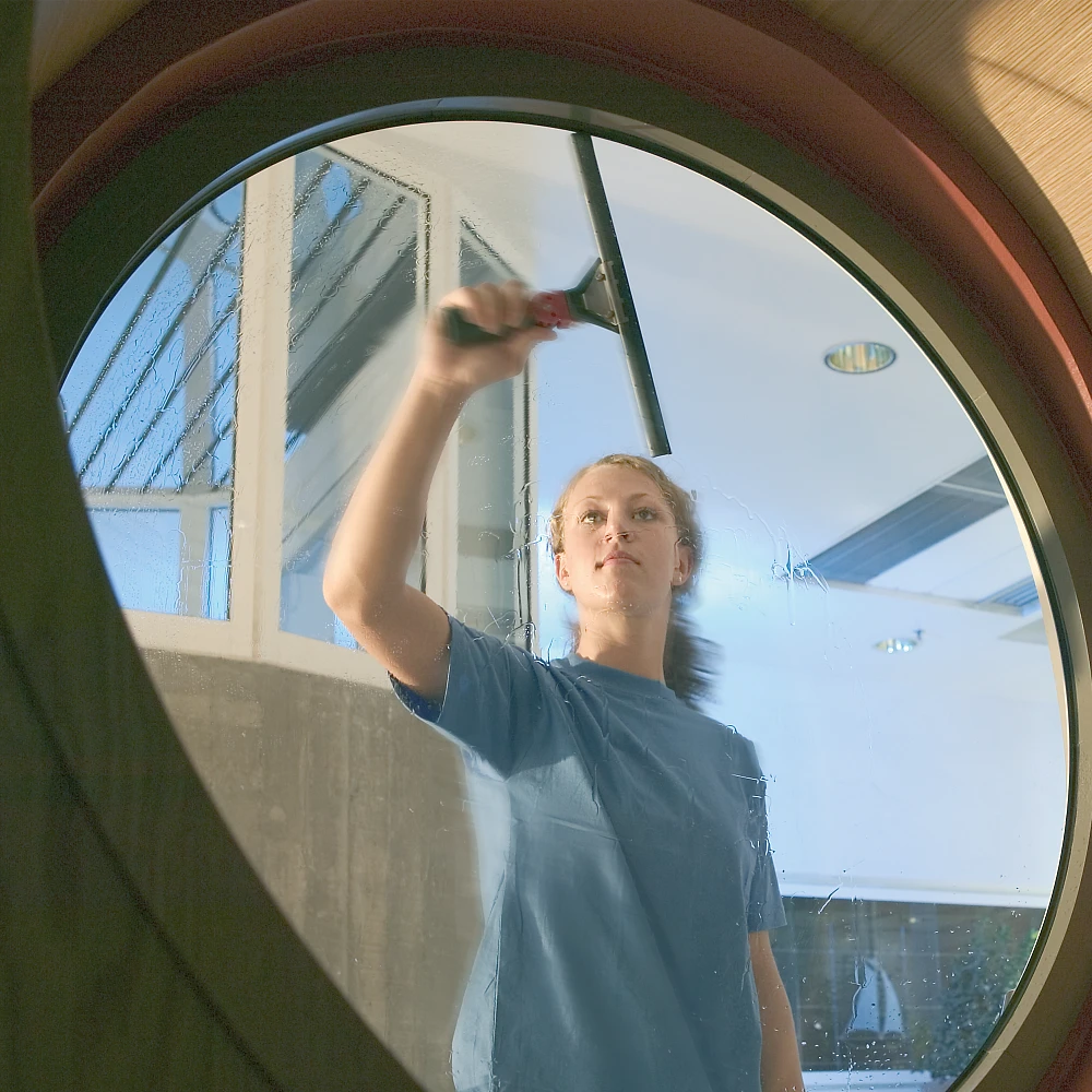 Склиз для мытья окон Эволюшн Склиз для мытья окон Эволюшн