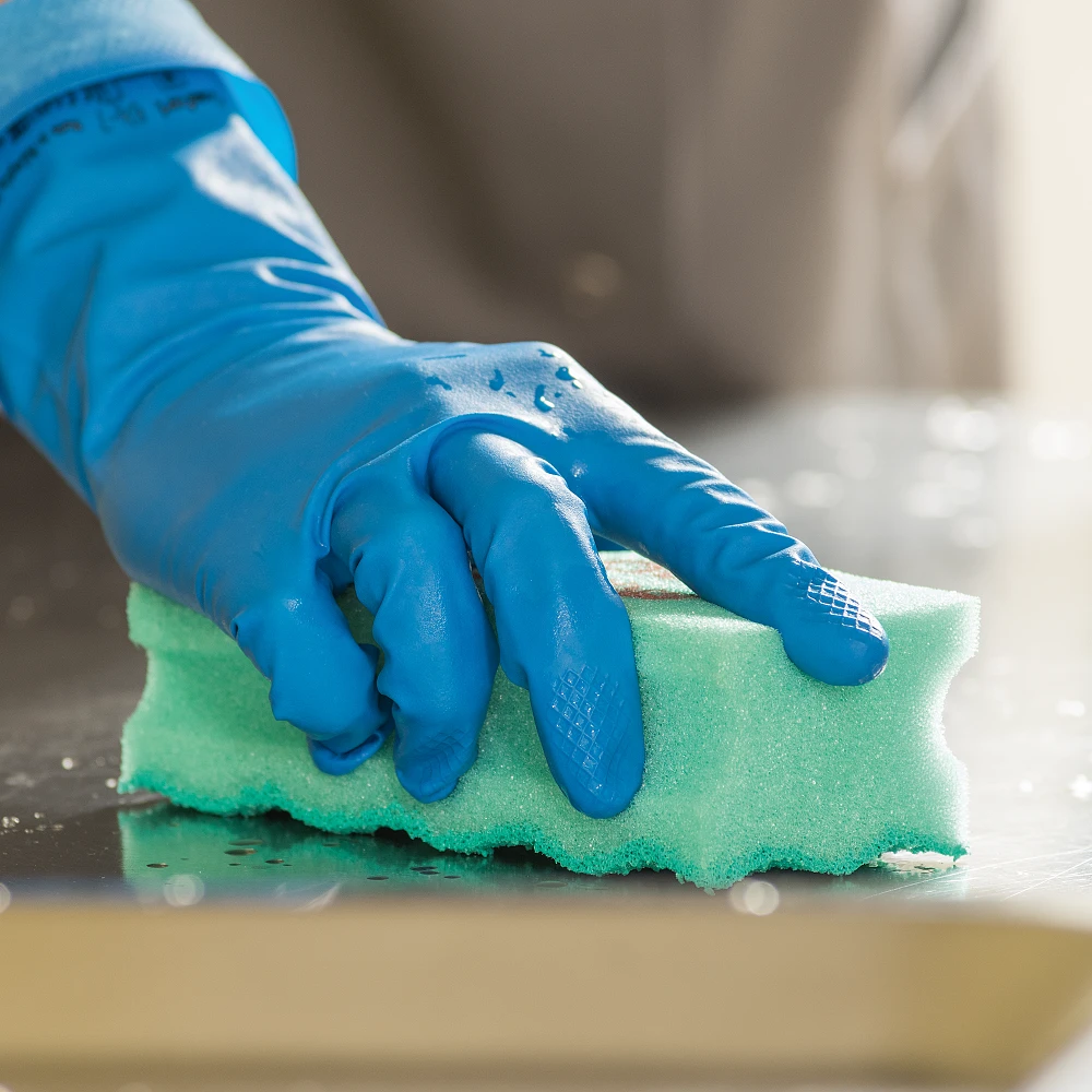 Губка ПурАктив