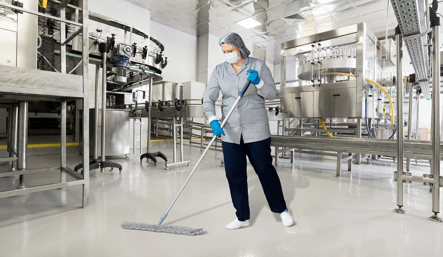 Гигиена пищевых производств